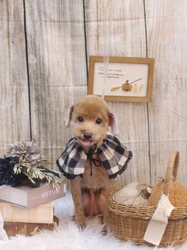 20241029そらちゃん